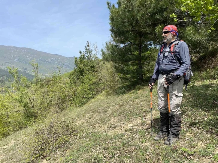 Anadolu Parsı unvanı için Küre Dağları’nda zirveye tırmandı
