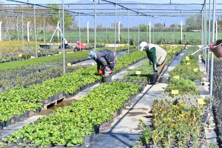 Balıkesir’i Türkiye’nin tıbbi aromatik bitki üretim üssü haline gelecek
