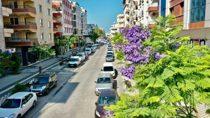 Başkan Atabay; "Didim her geçen gün güzelleşiyor"
