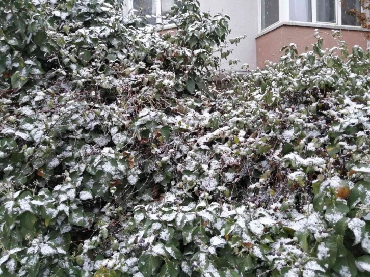 Başkent’te kar ve sis aynı anda bir arada
