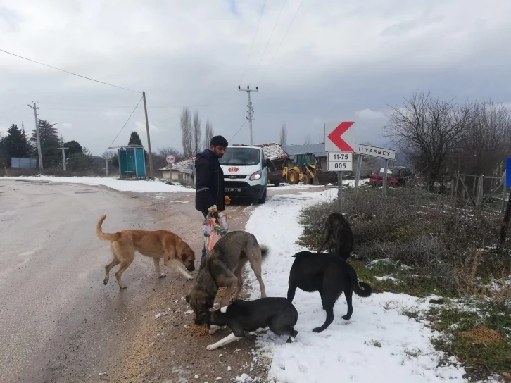 Bilecik’te sokak hayvanları unutulmadı
