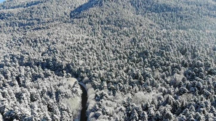 Bolu’nun karla kaplı ormanları havadan görüntülendi
