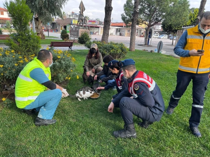 Burhaniye’de sokak hayvanları yalnız değil
