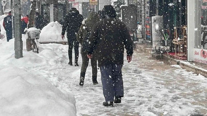 Buzlu yolda düşmemek için "penguen yürüyüşü" önerisi
