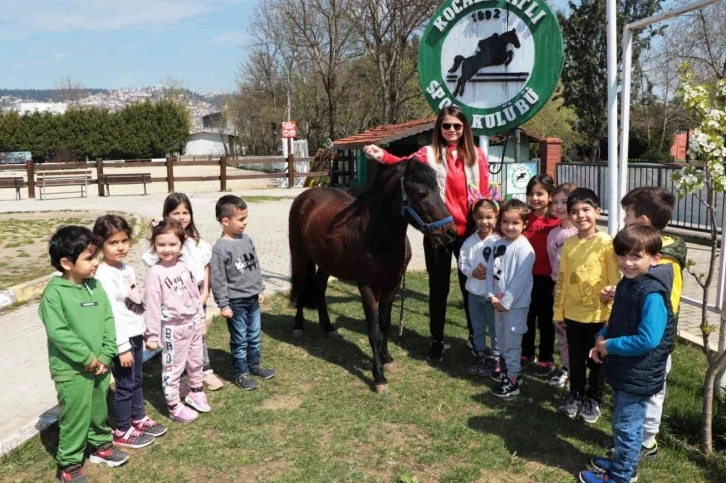 Çocuklara ücretsiz at binme eğitimi
