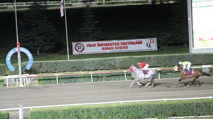 Elazığ’da at yarışlarına sayılı günler kaldı
