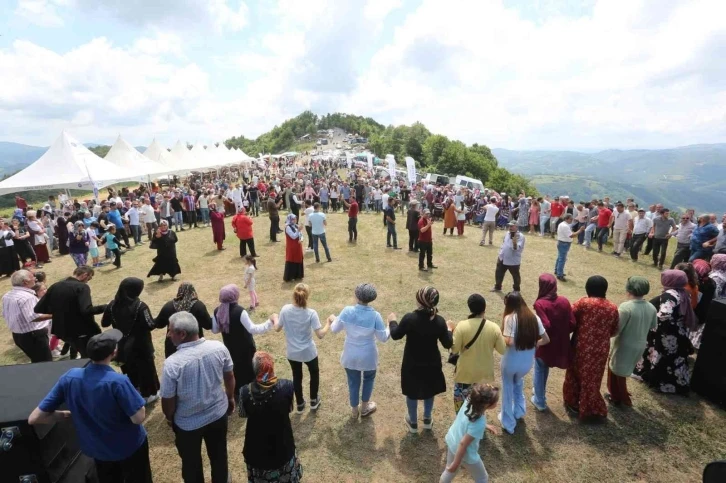 Geleneksel Çilek-Kiraz Festivali
