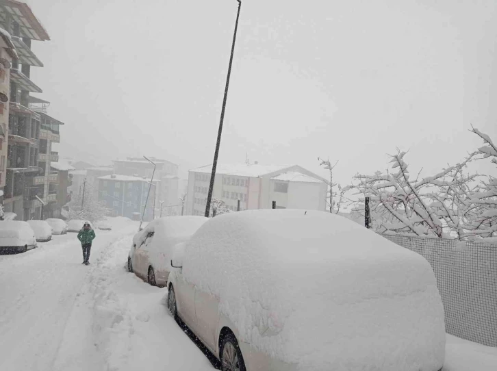 Hakkari’de 325 yerleşim yerinin yolu kapandı
