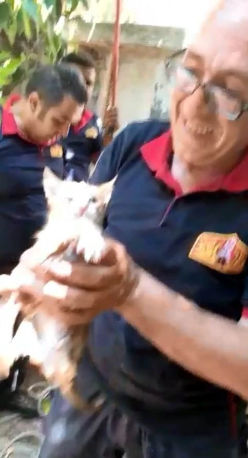 Kilis’te su kuyusuna düşen kedi kurtarıldı
