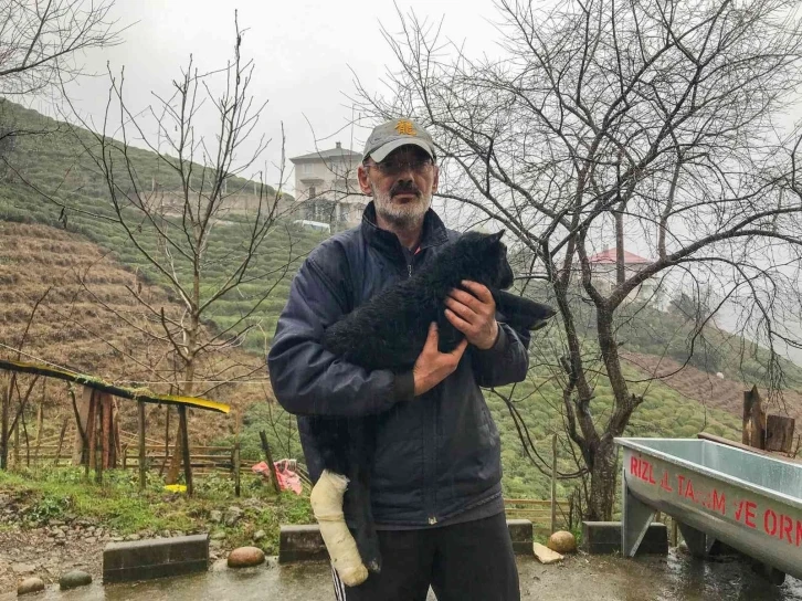 Kuzusunun bacağı kırıldı, devlet hastanesine götürdü, ilgi odağı oldu
