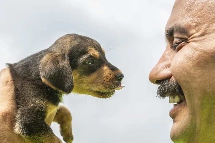 Mersin’de 2 gün çukurda mahsur kalan köpek kurtarıldı
