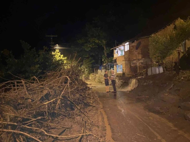 Ordu’da sağanak: Bazı evleri su bastı
