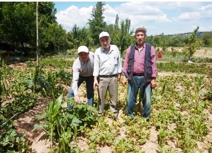 Simav’da sebze ve meyveler sağanak yağmur ve doludan zarar gördü
