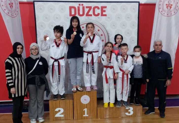 Taekwondo Anadolu Yıldızlar Ligi Düzce seçmesi yapıldı
