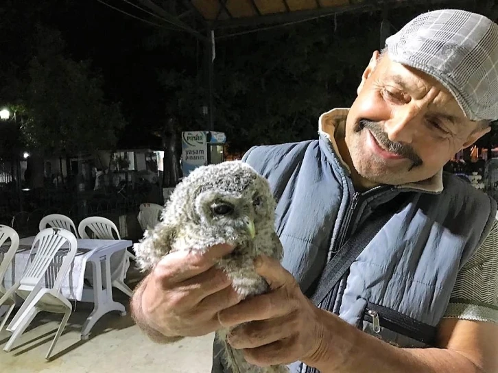 Tarlasında bulduğu yaralı baykuşa evladı gibi bakıyor
