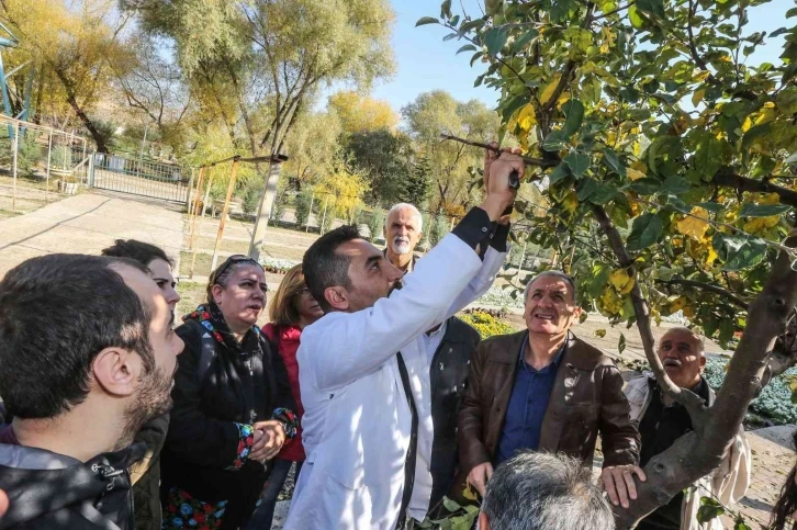 Yenimahalle’de bahçecilik kursu başladı
