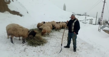 2 bin rakımda besicilerin zorlu yaşam mücadelesi
