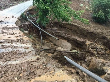 Alaşehir’de bağları, meyve ve sebze bahçelerini dolu vurdu
