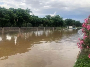 Aydın’da sağanak yağış: Karayolu ulaşıma kapandı, binalar sular altında kaldı
