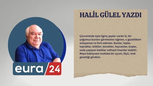 Güzelliği Görünce Gözlerim Yaşardı 