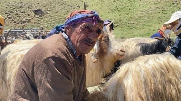 Hakkari’de 2 bin küçükbaş hayvan dağıtıldı
