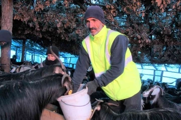 Huzur ve güven ortamıyla köyüne geri dönen çiftçinin yüzünü güldürdü
