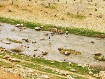 Mardin’de çocuklar soğuk havada derede yüzdü
