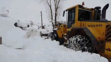 Muş’ta 67 köy yolu ulaşıma kapandı
