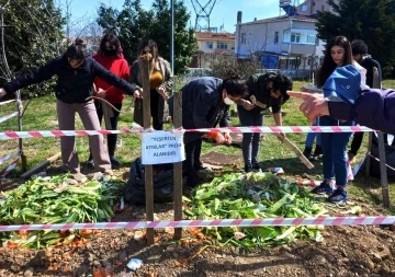 Pazardan toplanan organik atıklar, toprağı yeşertecek
