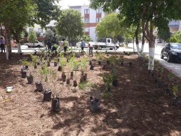 Soma Belediyesinde yaz çalışmaları devam ediyor
