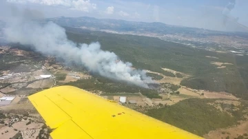 Urla’da ormanlık alan yangını
